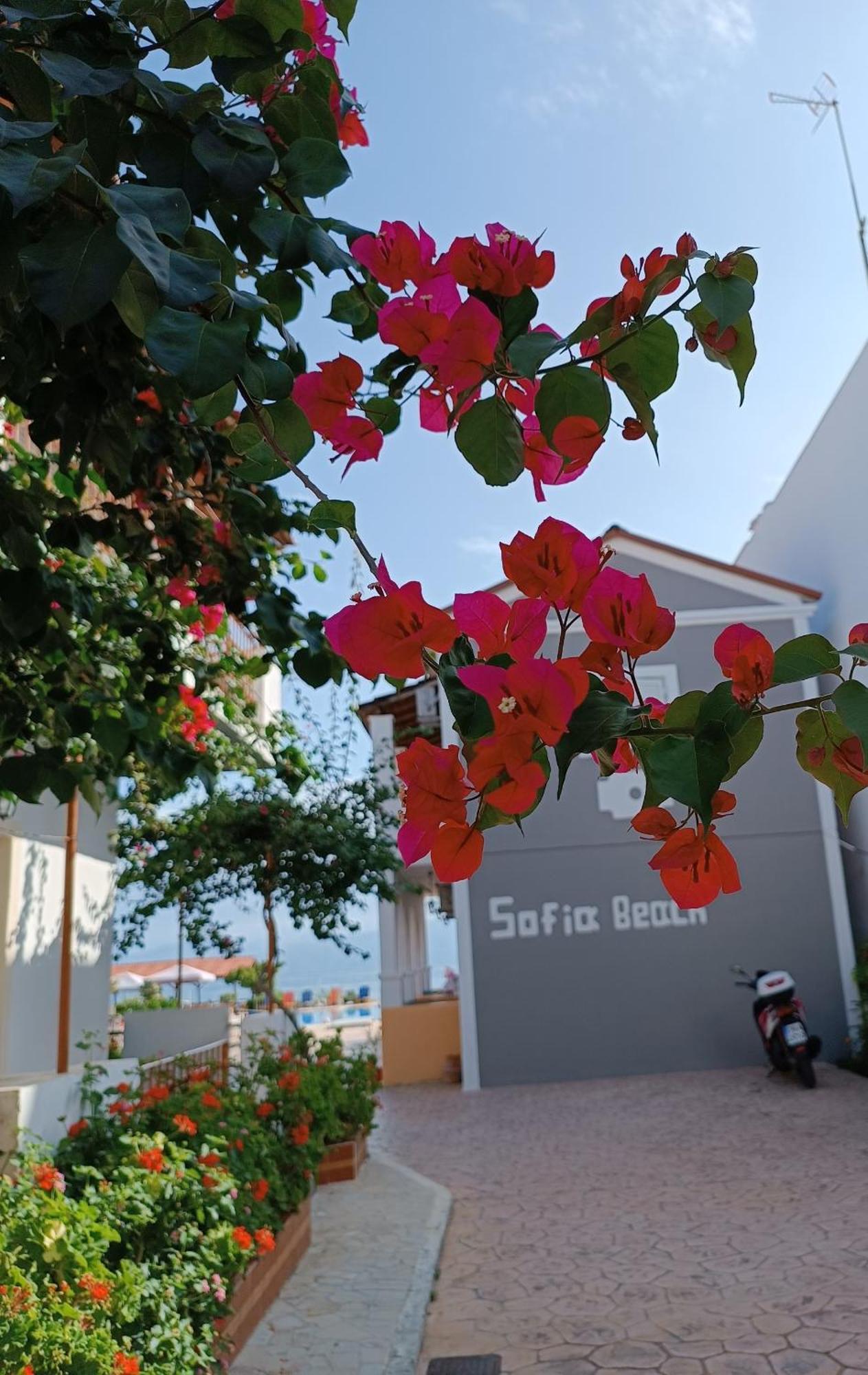 Sofia Beach Apartments Kavos Exterior photo